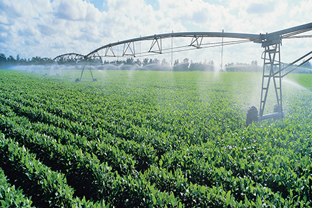 Irrigation over field crops